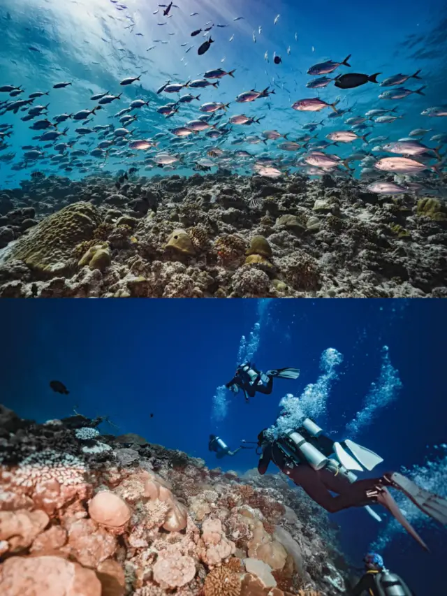 Scuba Diving in Guam | Travel Tips and Tricks