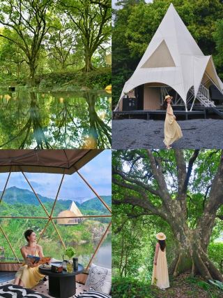 Guangdong's "The Wizard of Oz" | Stay in a 400-year-old firefly tree cluster