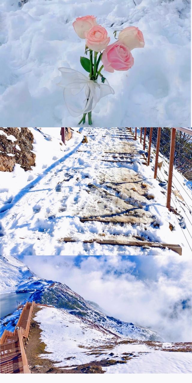 阿爾溝|一日往返一起去看雪啊