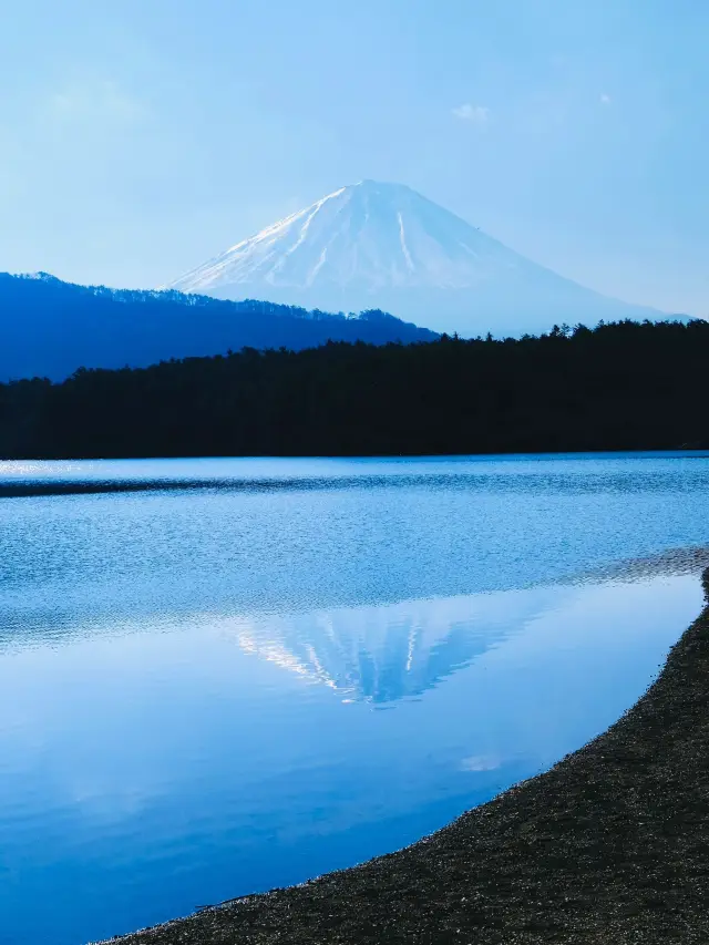 Here's a 6-day itinerary for a New Year's trip to Japan! 