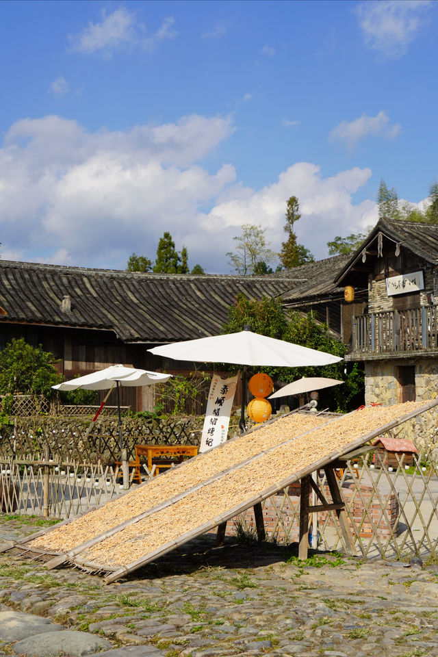 泰順山韻泉居泡溫泉完美攻略