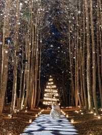 Experience the Magic of Christmas at Karuizawa Kogen Church