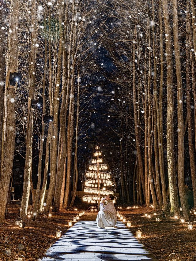 Experience the Magic of Christmas at Karuizawa Kogen Church