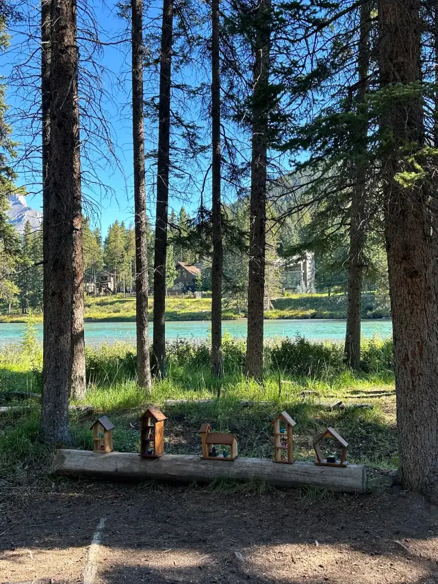 3日加拿大遊 長者行程輕鬆get