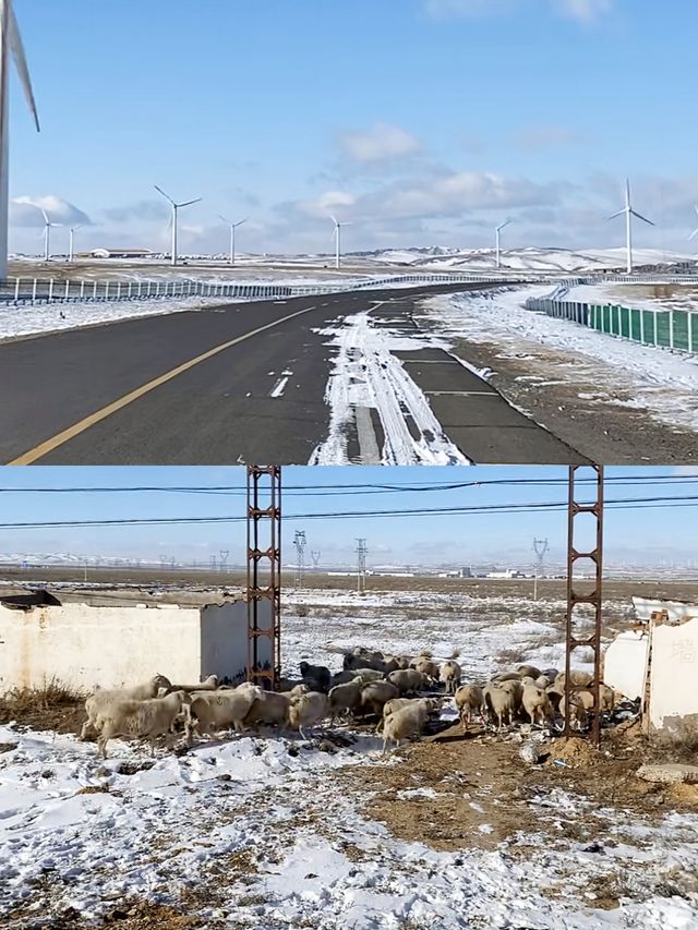 來自內蒙烏蘭察布草原白雪公主美麗的]秘密
