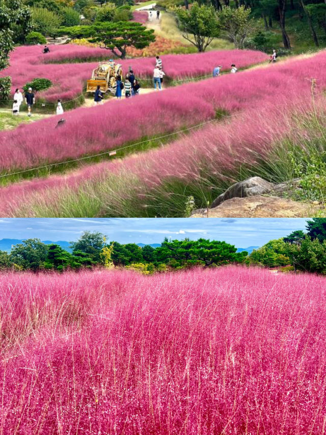 韓國瑞山的旅遊攻略