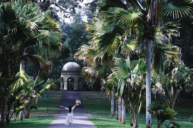 Discover the Enchanting Royal Botanical Gardens in Kandy, Sri Lanka