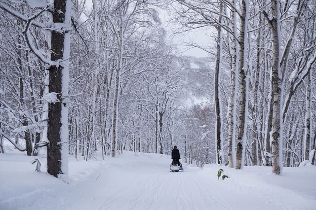 北海道小眾玩法！不滑雪也能馳騁大山
