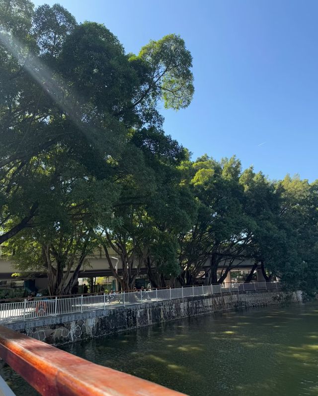 人民公園：邂逅愜意，暢享休閒時光