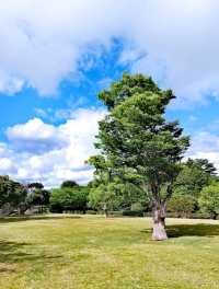 月浦近隣公園