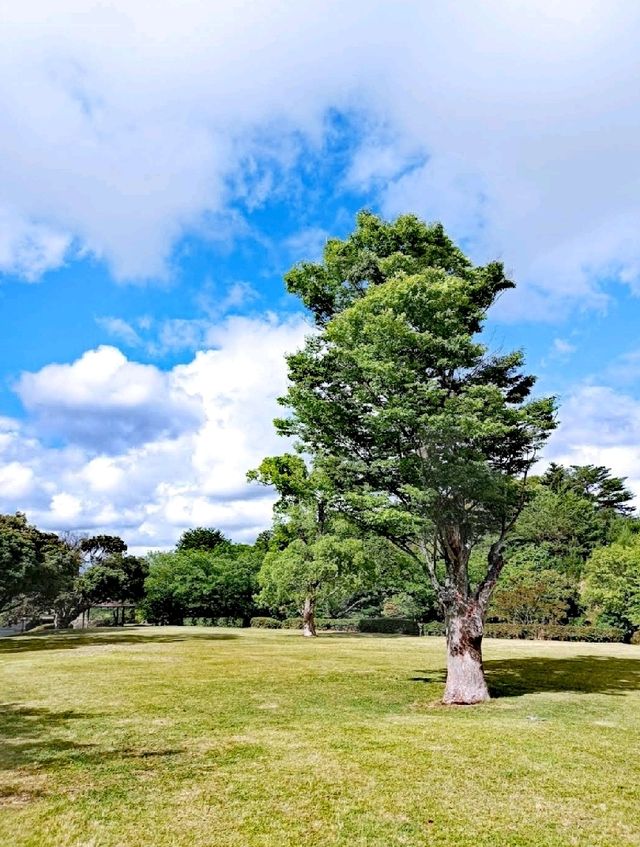 月浦近隣公園