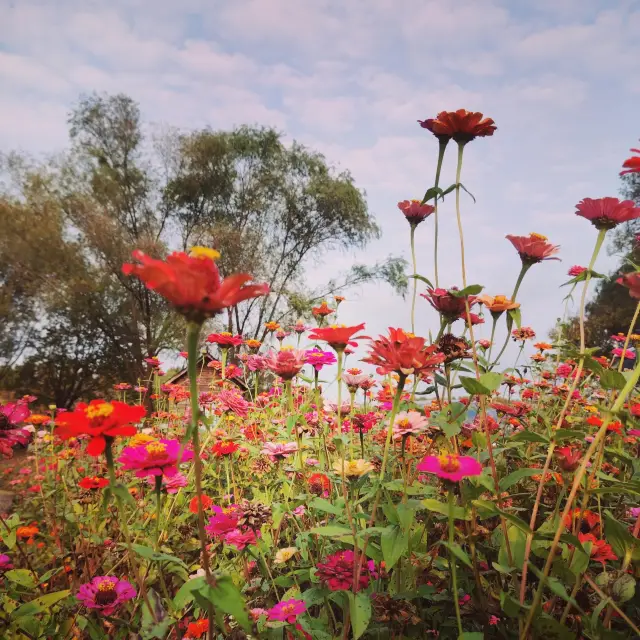Nanjing's lesser-known family-friendly attraction - Zhongshan Sports Park