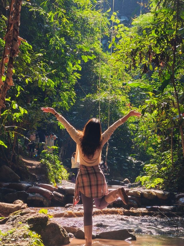 版納最快樂的一天！基諾山雨林行山都給我衝