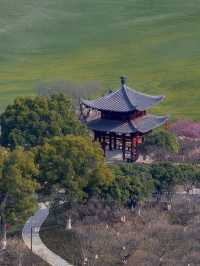 杭州超山賞梅攻略 | 邂逅十里香雪海