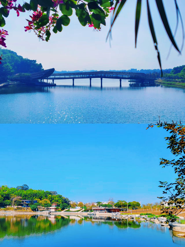 不是大理去不起，而是東莞小洱海更有性價比