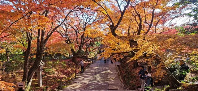 常寂光寺