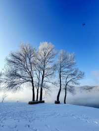 哈爾濱-吉林市-長白山探秘之旅 邂逅森林與雪域的奇幻