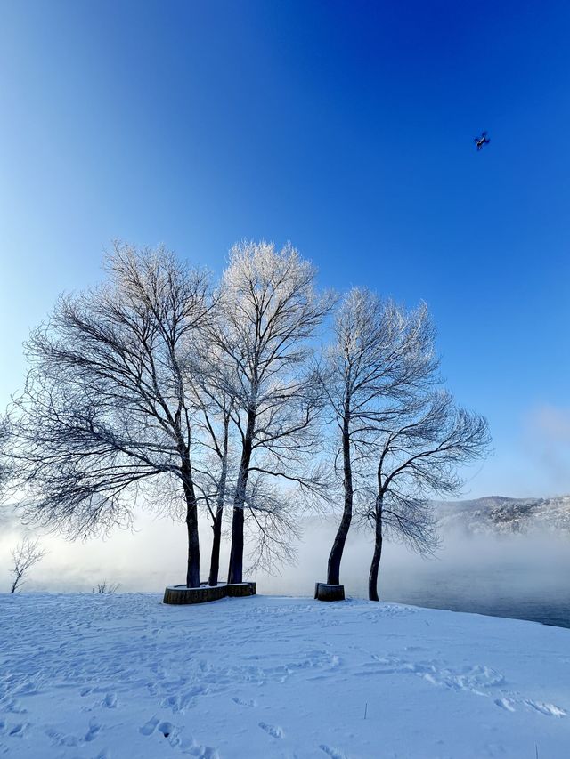 哈爾濱-吉林市-長白山探秘之旅 邂逅森林與雪域的奇幻