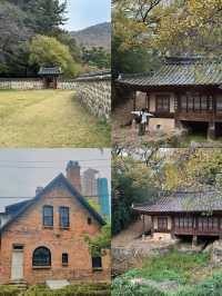 解鎖大田：韓半島的小眾寶藏旅行地