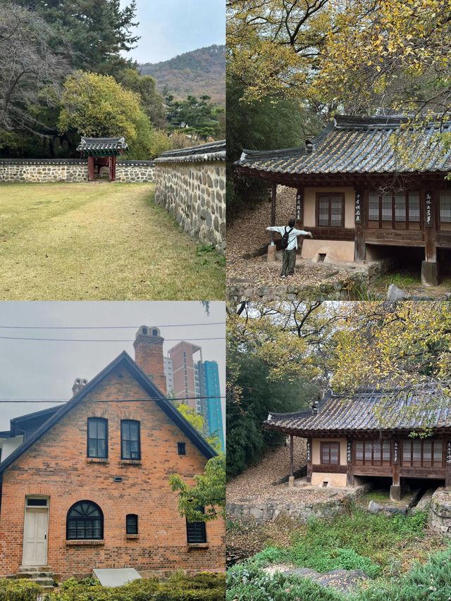 解鎖大田：韓半島的小眾寶藏旅行地