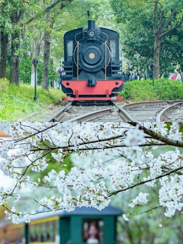杭州小眾景點‖一日遊打卡避坑攻略