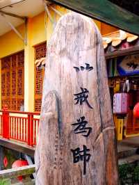 "秀美益陽"——洞庭之南的魚米之鄉
