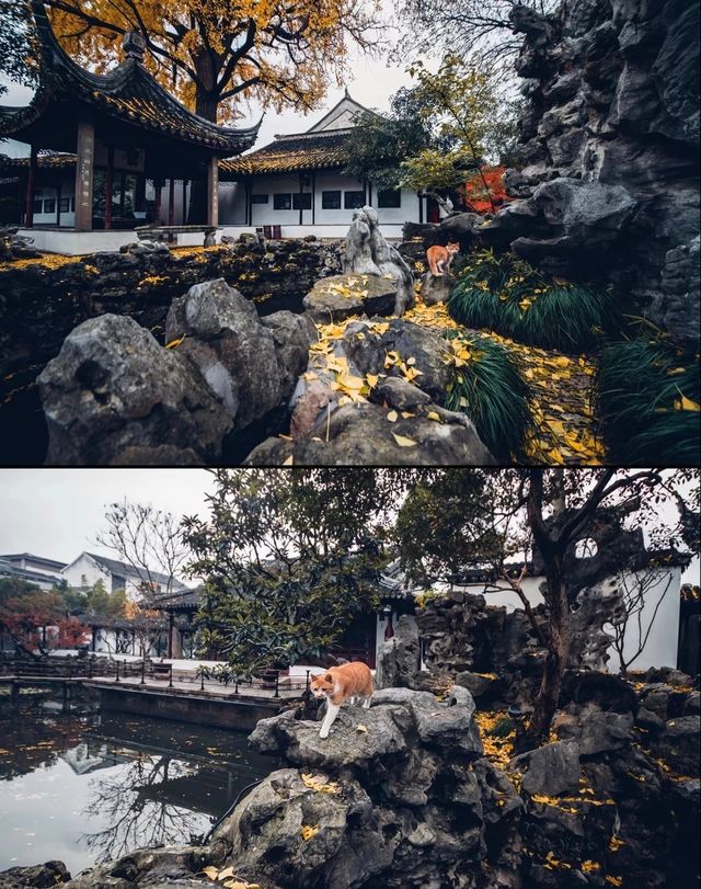 怡園
