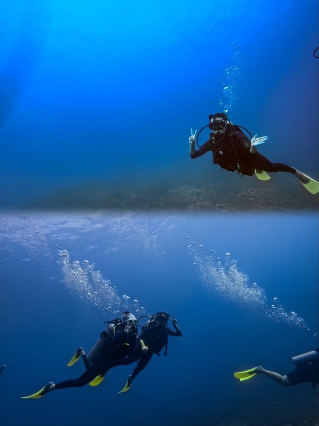 關島潛水寶藏指南：解鎖海底奇遇，安全暢遊秘笈