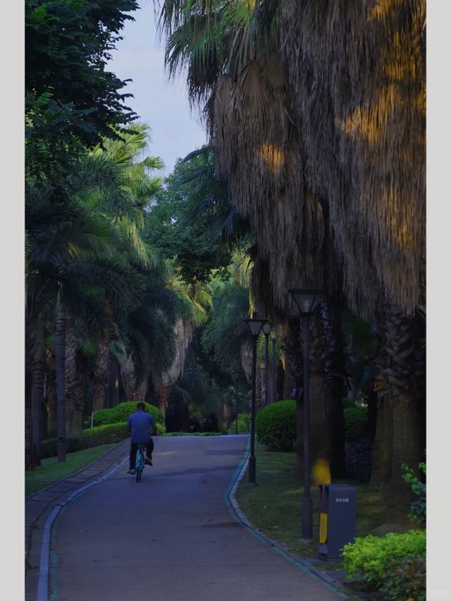 廈門寶藏公園竟然還有人不知道！
