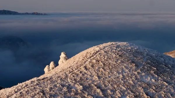 Discover the Secret to Stunning Cloud Seas at White Wugong Mountain!