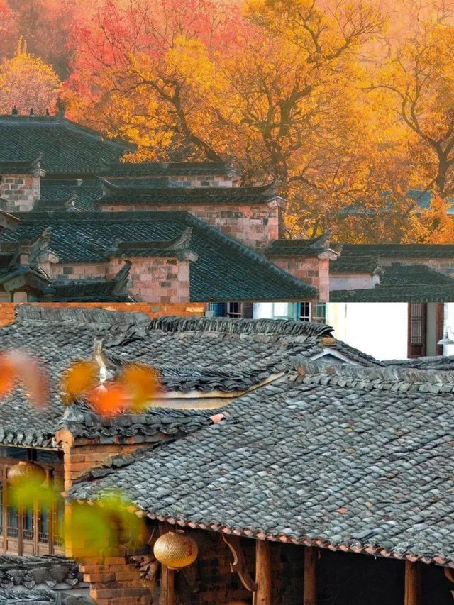 安徽·績溪 | 解鎖皖南的浪漫秘境