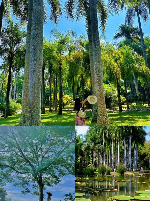 西雙版納中科院植物園應該怎麼玩？