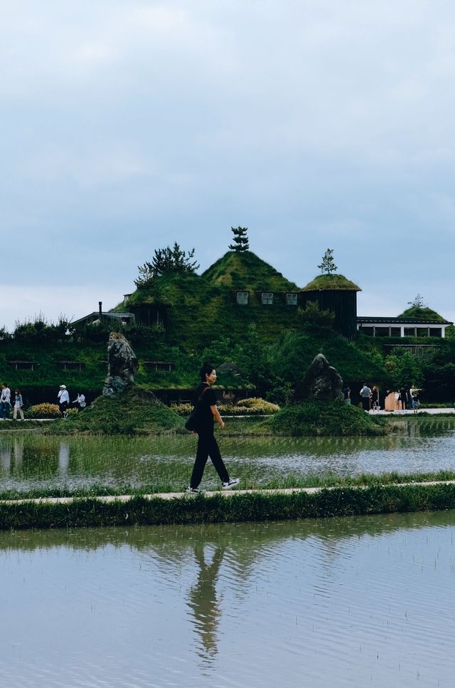 京都周邊避世古鎮・近江八幡Chill一日遊