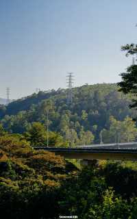 恩上水库開車上山新政策！🚗
