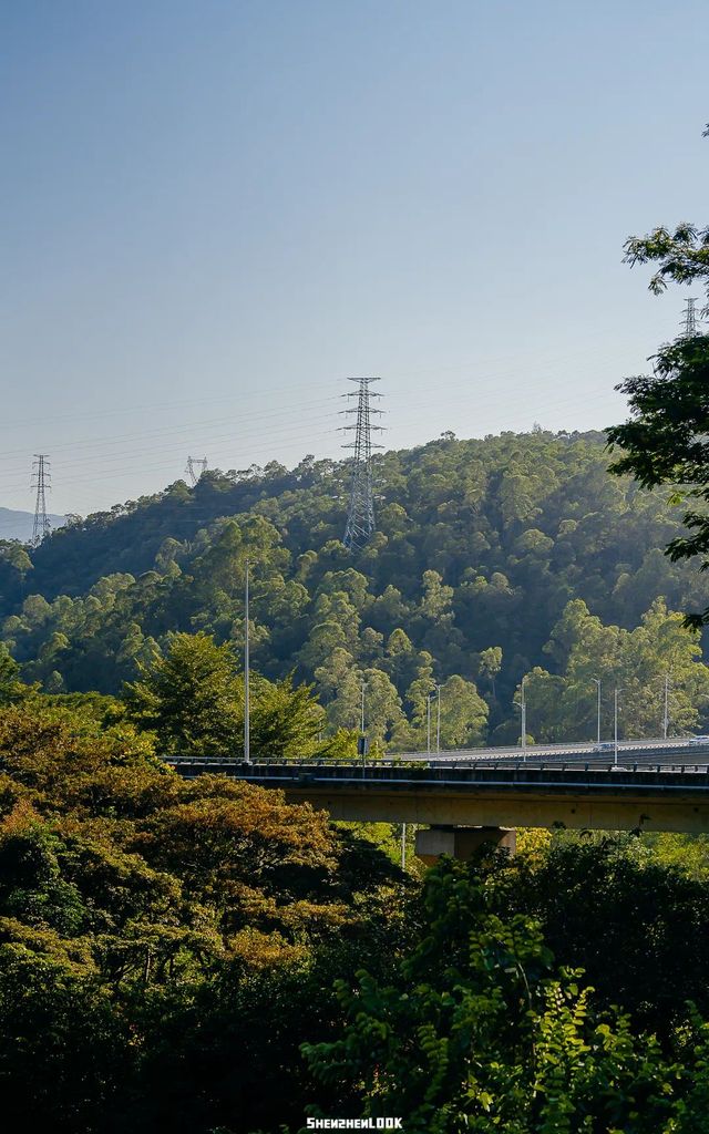 恩上水库開車上山新政策！🚗