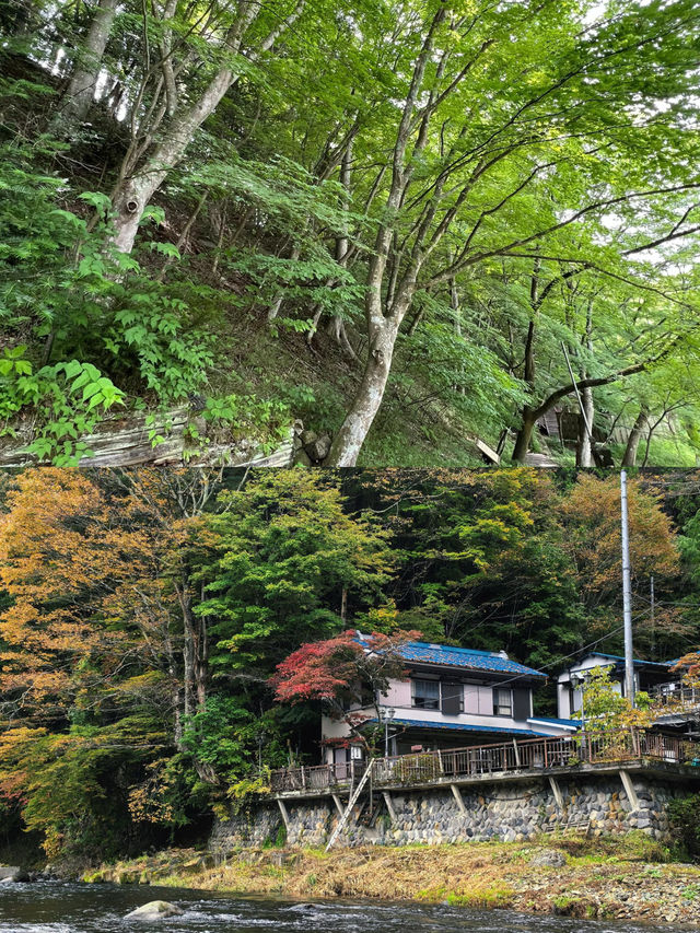 那須鹽原市｜一眼萬年的治癒之旅