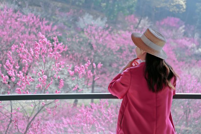 湖州水韻梅香，暢享仙境中的極致風流