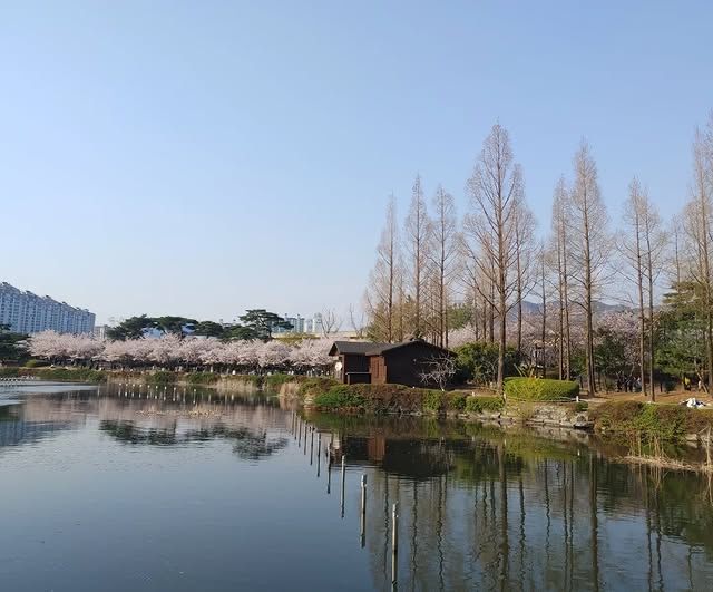 韓國·金海 | 金海城市公園—都市裡的綠色秘境！