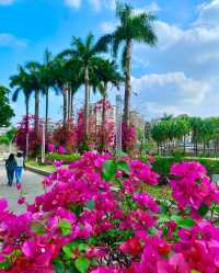 3月，一定要去一趟東湖公園！