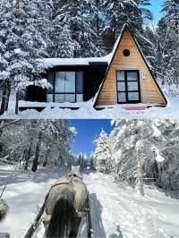 只需到長白山，便能盡享雪景之美