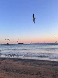 中國山東淄博-青島-威海4日遊 玩轉山東半島