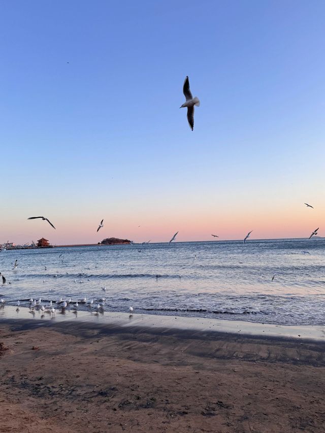 中國山東淄博-青島-威海4日遊 玩轉山東半島