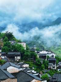 我在江西上春山終於找到最美的春天