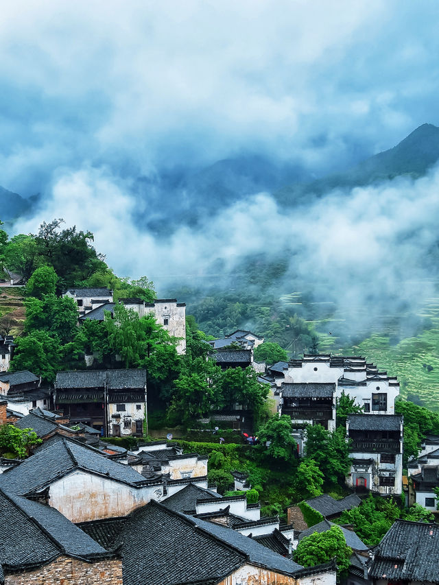 我在江西上春山終於找到最美的春天