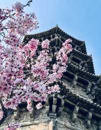 𝐐𝐮𝐚𝐧𝐙𝐡𝐨𝐮泉州｜「半城煙火半城仙」