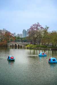 春天不知道去哪兒，就來廣州東山湖公園散步拍照吧