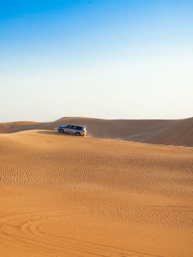 阿聯酋免簽帶娃遊 輕鬆出行不踩坑