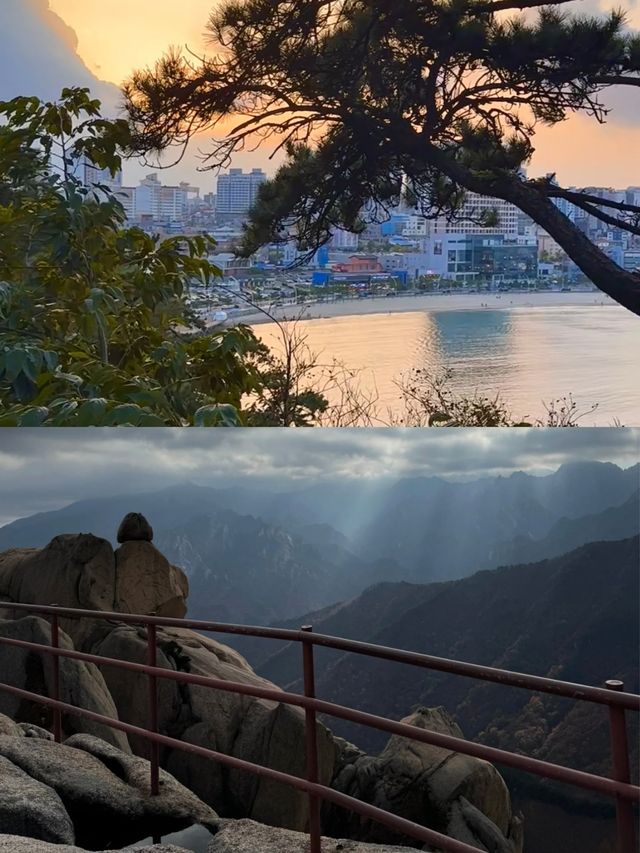 韓國蔚山，海濱城市的深度打卡攻略