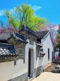 北京都能拍出江南大片丨紫竹院友賢山館