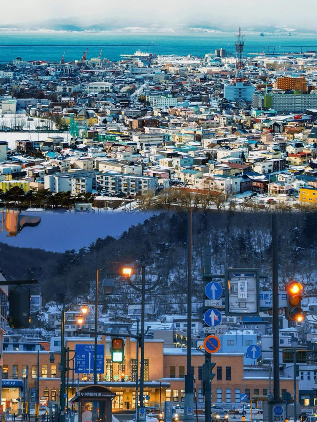 現在的北海道之旅張力拉滿，是時候去看雪啦